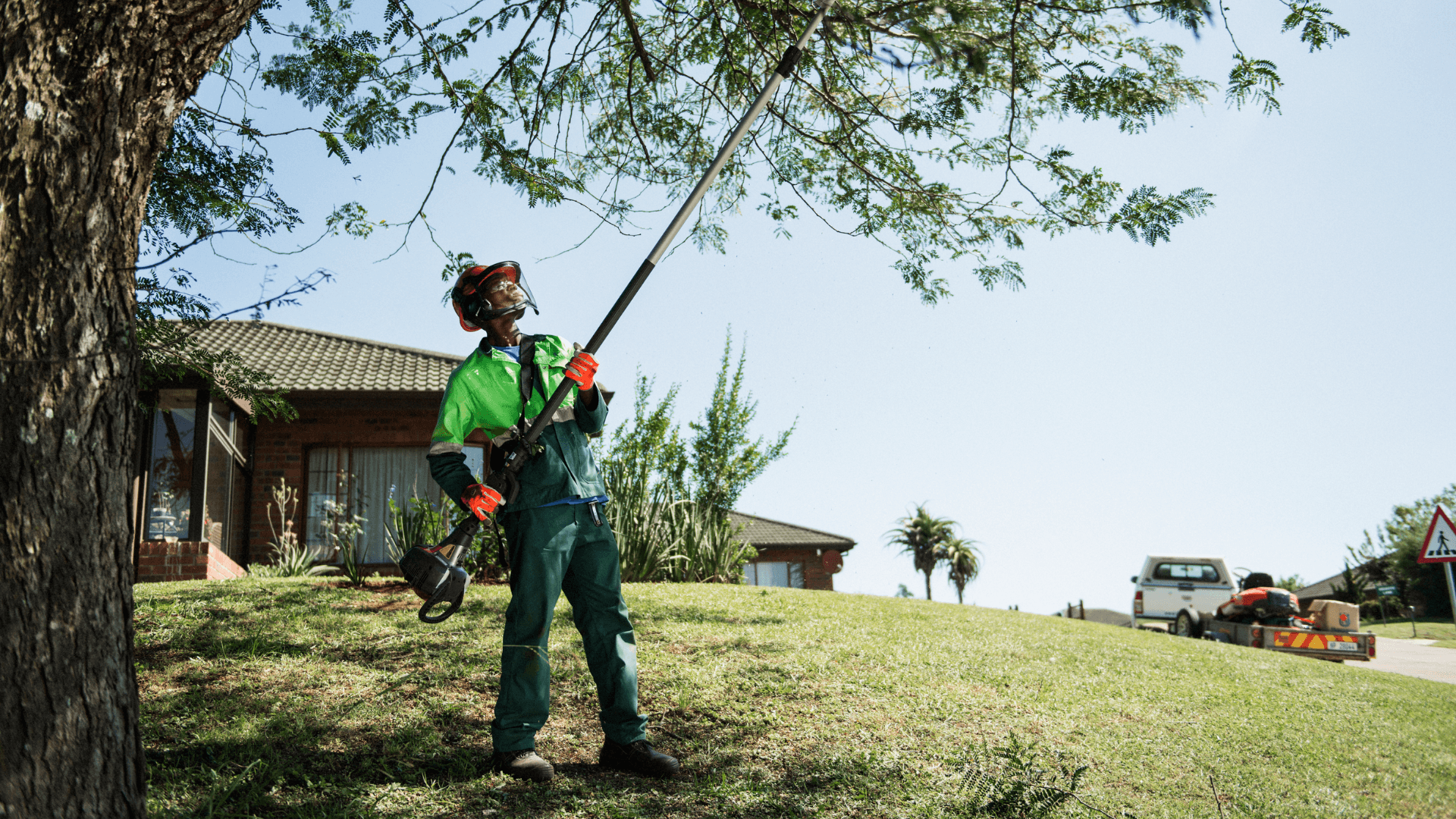 arborist with polesaw in tree
