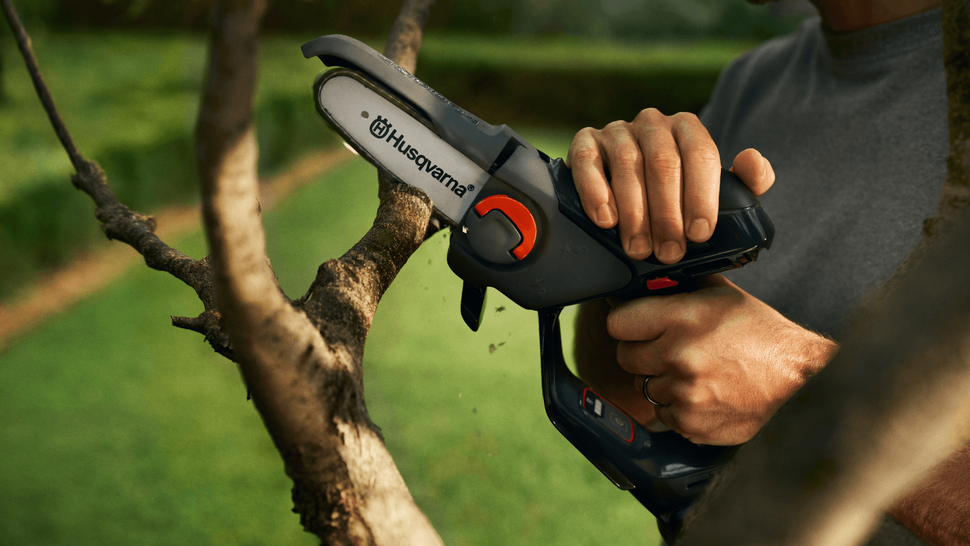 pruner cutting tree branch