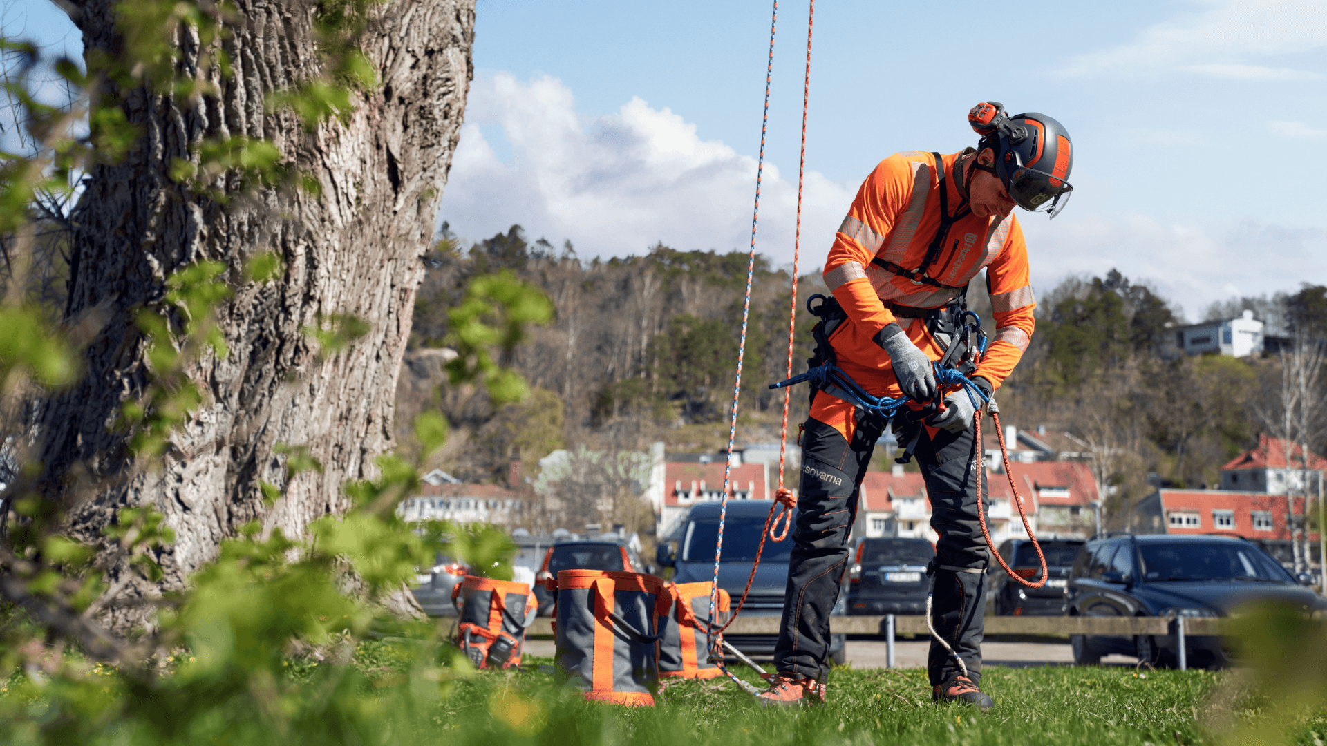 arborist with safety equipment on